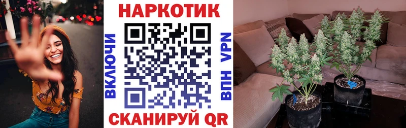 Где купить Можга NBOMe Кокаин Гашиш А ПВП Меф мяу мяу Канабис