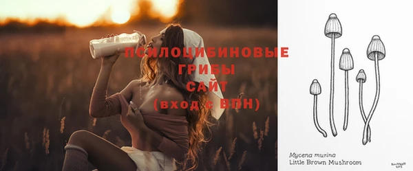 PSILOCYBIN Богородицк