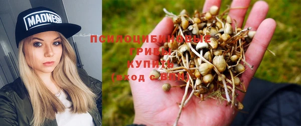 кокаин премиум Богданович
