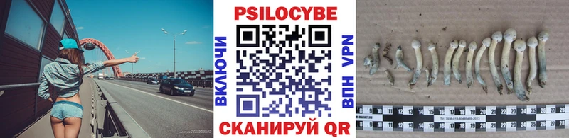 Галлюциногенные грибы Magic Shrooms  Можга 