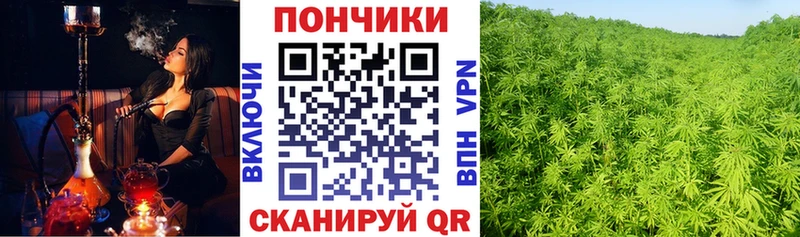 МАРИХУАНА Amnesia  продажа наркотиков  кракен сайт  Можга 